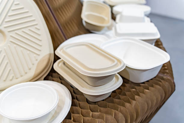 قیمت ظروف یکبار مصرف گیاهی + خرید باور نکردنی